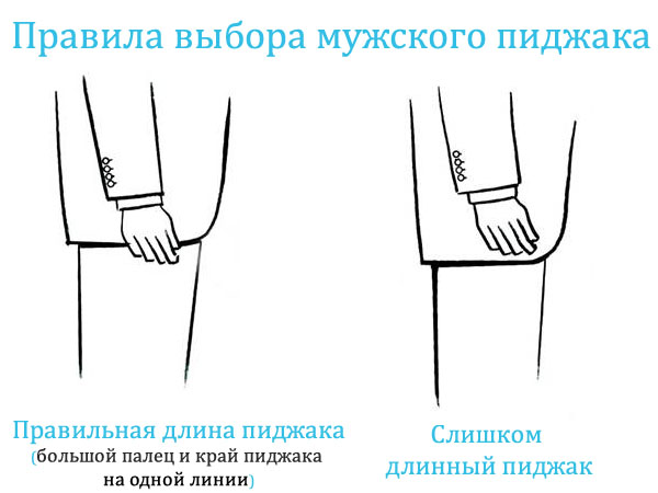 Правила выбора длины мужского пиджака как выбрать мужской пиджак по длине